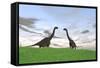 Two Large Brachiosaurus in a Grassy Field-null-Framed Stretched Canvas