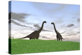 Two Large Brachiosaurus in a Grassy Field-null-Stretched Canvas