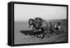 Two Large Work Horses Pull the Farmer and His Corn Seed Drill in Iowa, 1940s-null-Framed Stretched Canvas