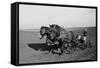 Two Large Work Horses Pull the Farmer and His Corn Seed Drill in Iowa, 1940s-null-Framed Stretched Canvas