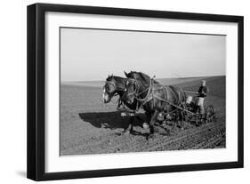 Two Large Work Horses Pull the Farmer and His Corn Seed Drill in Iowa, 1940s-null-Framed Photo