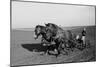 Two Large Work Horses Pull the Farmer and His Corn Seed Drill in Iowa, 1940s-null-Mounted Photo