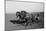 Two Large Work Horses Pull the Farmer and His Corn Seed Drill in Iowa, 1940s-null-Mounted Photo