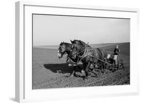 Two Large Work Horses Pull the Farmer and His Corn Seed Drill in Iowa, 1940s-null-Framed Photo