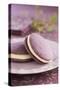 Two Lavender Whoopie Pies on a Plate-Lew Robertson-Stretched Canvas