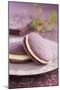 Two Lavender Whoopie Pies on a Plate-Lew Robertson-Mounted Photographic Print