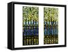 Two Leaded and Plated Glass Windows, circa 1910-Tiffany Studios-Framed Stretched Canvas