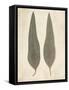 Two Leaves-Amy Melious-Framed Stretched Canvas