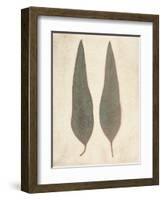 Two Leaves-Amy Melious-Framed Art Print