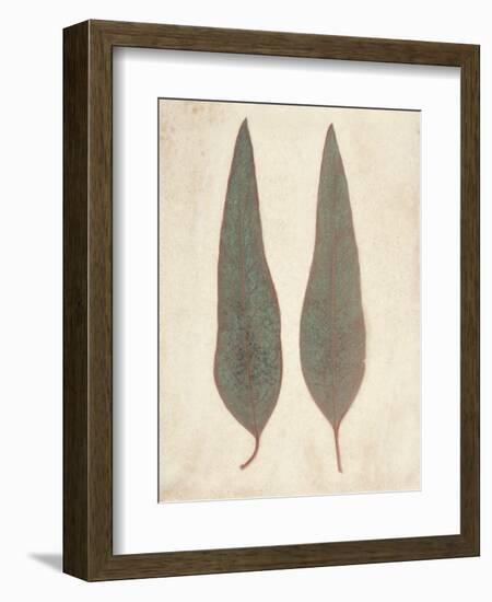 Two Leaves-Amy Melious-Framed Art Print