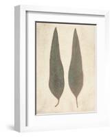 Two Leaves-Amy Melious-Framed Art Print