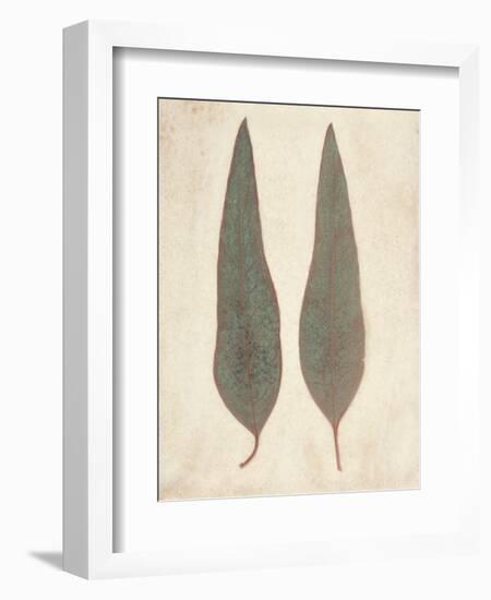 Two Leaves-Amy Melious-Framed Art Print