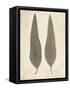 Two Leaves-Amy Melious-Framed Stretched Canvas