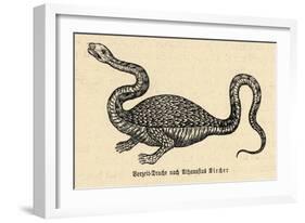 Two-Legged Non-Flying Dragon Perceived as an Animal Species Rather Than an Otherworldly Monster-Athanasius Kircher-Framed Art Print