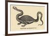 Two-Legged Non-Flying Dragon Perceived as an Animal Species Rather Than an Otherworldly Monster-Athanasius Kircher-Framed Premium Giclee Print