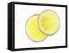 Two Lemon Slices in Water with Air Bubbles-Kröger & Gross-Framed Stretched Canvas