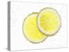 Two Lemon Slices in Water with Air Bubbles-Kröger & Gross-Stretched Canvas