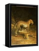 Two Leopards Lying in the Exeter Exchange, 1808-Jacques-Laurent Agasse-Framed Stretched Canvas