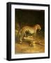 Two Leopards Lying in the Exeter Exchange, 1808-Jacques-Laurent Agasse-Framed Giclee Print