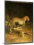 Two Leopards Lying in the Exeter Exchange, 1808-Jacques-Laurent Agasse-Mounted Giclee Print