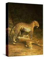 Two Leopards Lying in the Exeter Exchange, 1808-Jacques-Laurent Agasse-Stretched Canvas