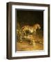 Two Leopards Lying in the Exeter Exchange, 1808-Jacques-Laurent Agasse-Framed Premium Giclee Print