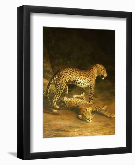 Two Leopards Lying in the Exeter Exchange, 1808-Jacques-Laurent Agasse-Framed Premium Giclee Print