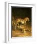 Two Leopards Lying in the Exeter Exchange, 1808-Jacques-Laurent Agasse-Framed Premium Giclee Print