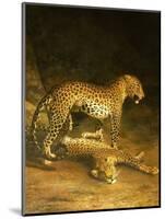 Two Leopards Lying in the Exeter Exchange, 1808-Jacques-Laurent Agasse-Mounted Premium Giclee Print