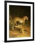 Two Leopards Lying in the Exeter Exchange, 1808-Jacques-Laurent Agasse-Framed Giclee Print