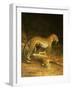 Two Leopards Lying in the Exeter Exchange, 1808-Jacques-Laurent Agasse-Framed Giclee Print