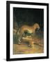 Two Leopards Playing-Jacques Laurent-Framed Art Print