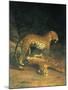 Two Leopards Playing-Jacques Laurent-Mounted Art Print