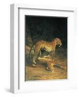 Two Leopards Playing-Jacques Laurent-Framed Art Print