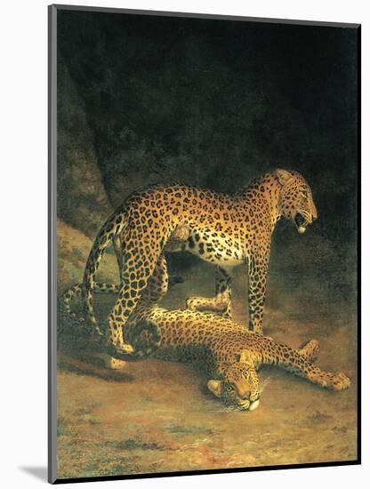 Two Leopards Playing-Jacques Laurent-Mounted Art Print