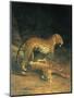 Two Leopards Playing-Jacques Laurent-Mounted Art Print