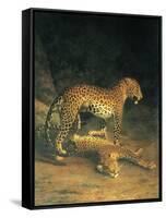 Two Leopards Playing-Jacques Laurent-Framed Stretched Canvas