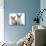 Two Lilac Burmese Kittens, 7 Weeks-Mark Taylor-Stretched Canvas displayed on a wall