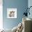 Two Lilac Burmese Kittens, 7 Weeks-Mark Taylor-Framed Photographic Print displayed on a wall