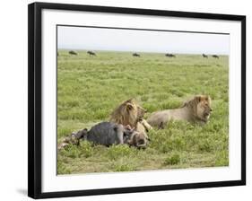 Two Lion at a Blue Wildebeest Kill, Serengeti National Park, Tanzania-James Hager-Framed Photographic Print