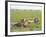 Two Lion at a Blue Wildebeest Kill, Serengeti National Park, Tanzania-James Hager-Framed Photographic Print