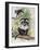 Two Lion-Tailed Macaque on a Tree (Macaca Silenus)-null-Framed Giclee Print