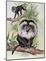 Two Lion-Tailed Macaque on a Tree (Macaca Silenus)-null-Mounted Giclee Print