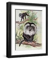 Two Lion-Tailed Macaque on a Tree (Macaca Silenus)-null-Framed Premium Giclee Print