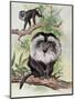 Two Lion-Tailed Macaque on a Tree (Macaca Silenus)-null-Mounted Premium Giclee Print