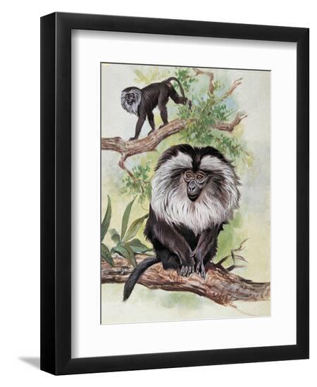 Premium Giclee Print, , large