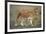 Two Lionesses (Panthera Leo) with Two Cubs Walking on Savannah, Kenya-Anup Shah-Framed Photographic Print