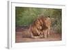 Two Lions (Panthera Leo), Serengeti National Park, Tanzania, East Africa, Africa-James Hager-Framed Photographic Print