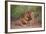 Two Lions (Panthera Leo), Serengeti National Park, Tanzania, East Africa, Africa-James Hager-Framed Photographic Print