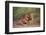 Two Lions (Panthera Leo), Serengeti National Park, Tanzania, East Africa, Africa-James Hager-Framed Photographic Print